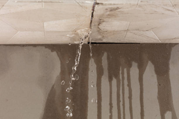Professional Water Extraction technician working in Lansing, OH